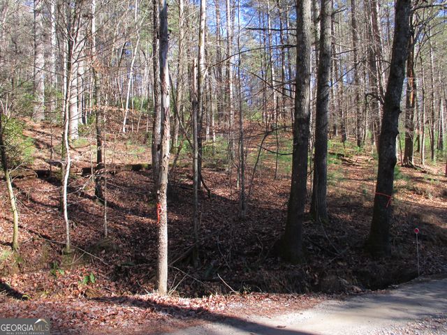 LOT 58 Doe Run, Ellijay, GA 30540
