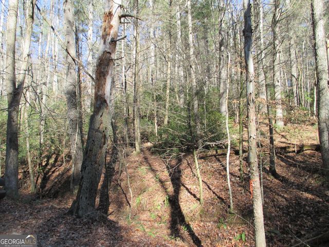 LOT 58 Doe Run, Ellijay, GA 30540