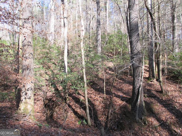 LOT 58 Doe Run, Ellijay, GA 30540