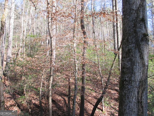 LOT 58 Doe Run, Ellijay, GA 30540