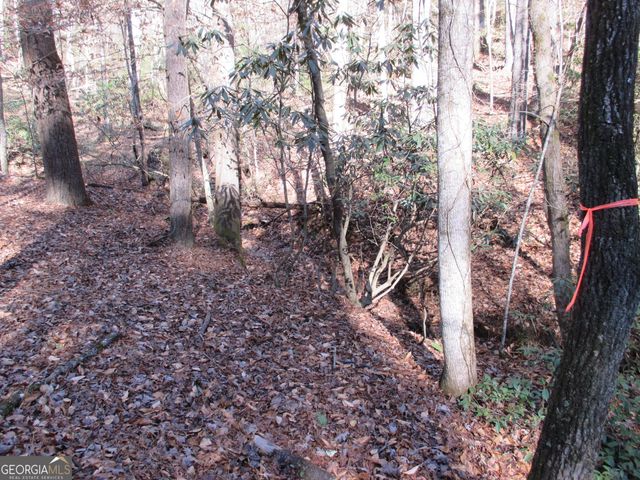 LOT 58 Doe Run, Ellijay, GA 30540