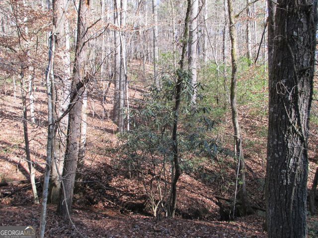 LOT 58 Doe Run, Ellijay, GA 30540