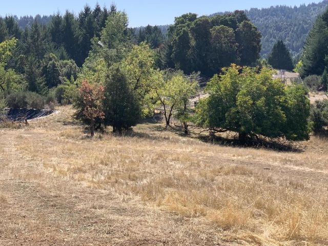 123 Cider Lane, Ettersburg, CA 95542