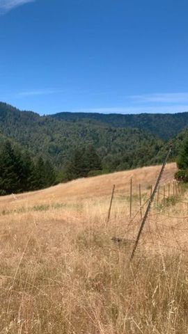 123 Cider Lane, Ettersburg, CA 95542