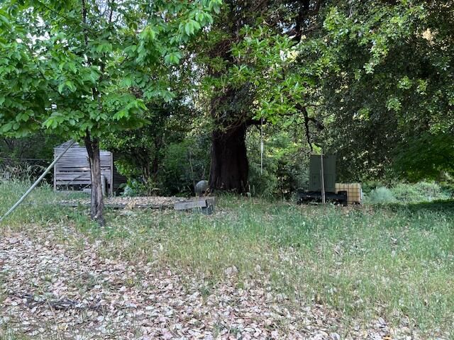 123 Cider Lane, Ettersburg, CA 95542