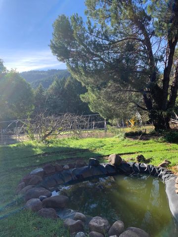 123 Cider Lane, Ettersburg, CA 95542