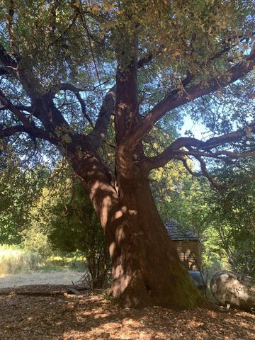 123 Cider Lane, Ettersburg, CA 95542