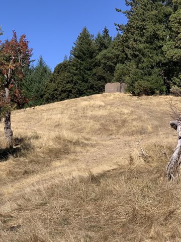 123 Cider Lane, Ettersburg, CA 95542