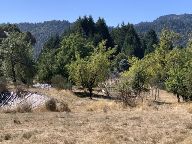 123 Cider Lane, Ettersburg, CA 95542