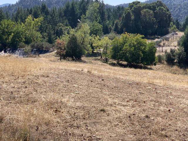 123 Cider Lane, Ettersburg, CA 95542