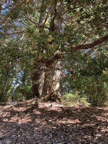 123 Cider Lane, Ettersburg, CA 95542