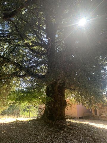 123 Cider Lane, Ettersburg, CA 95542