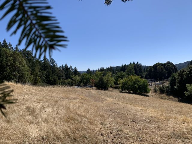123 Cider Lane, Ettersburg, CA 95542