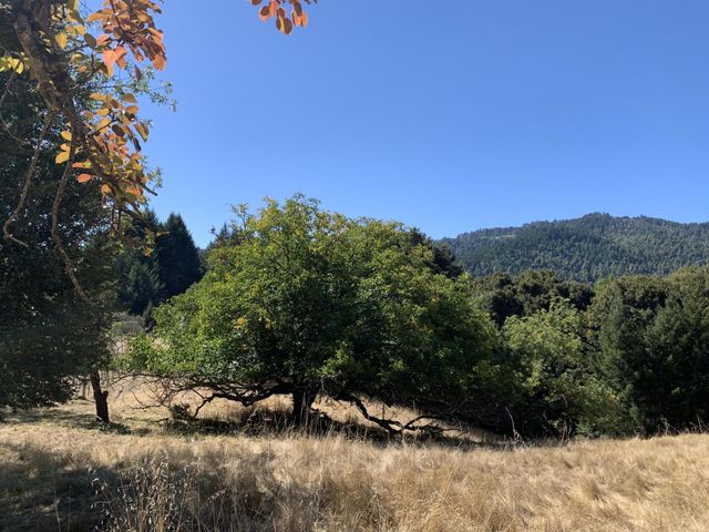 123 Cider Lane, Ettersburg, CA 95542