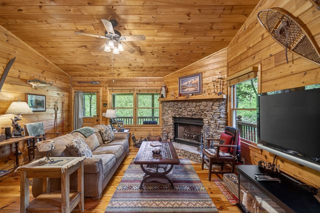203 Mountain View Drive, Cherry Log, GA 30522
