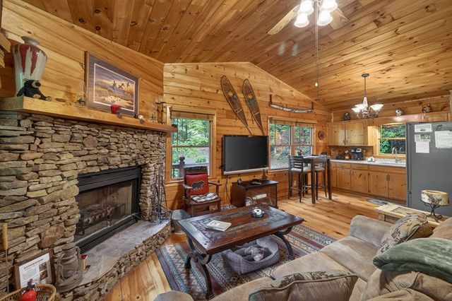 203 Mountain View Drive, Cherry Log, GA 30522