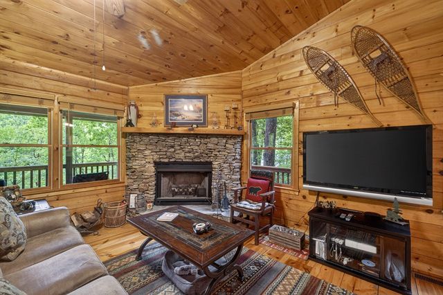 203 Mountain View Drive, Cherry Log, GA 30522