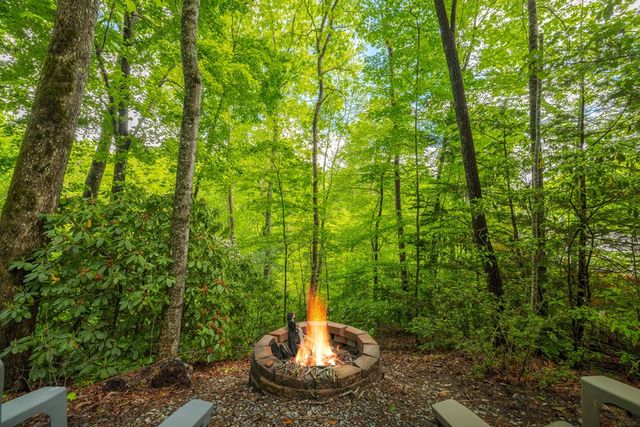 203 Mountain View Drive, Cherry Log, GA 30522