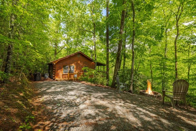 203 Mountain View Drive, Cherry Log, GA 30522