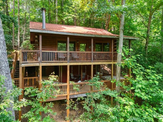 203 Mountain View Drive, Cherry Log, GA 30522