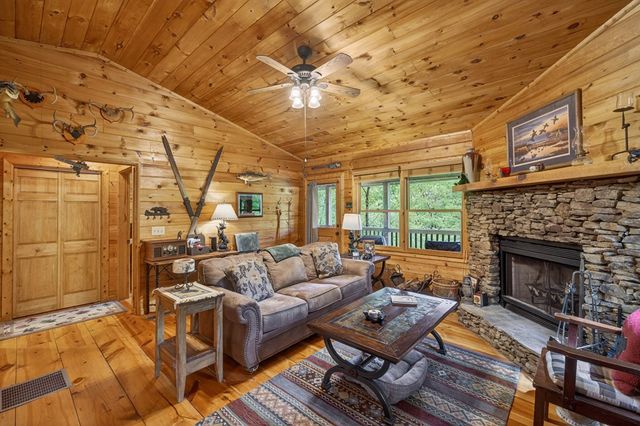 203 Mountain View Drive, Cherry Log, GA 30522