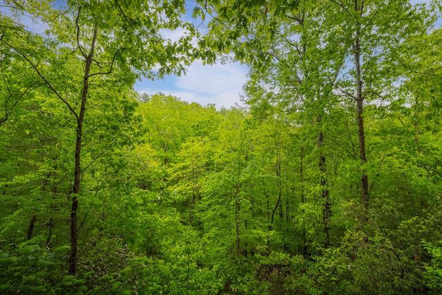 203 Mountain View Drive, Cherry Log, GA 30522
