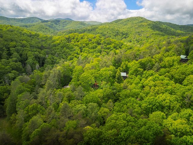 203 Mountain View Drive, Cherry Log, GA 30522