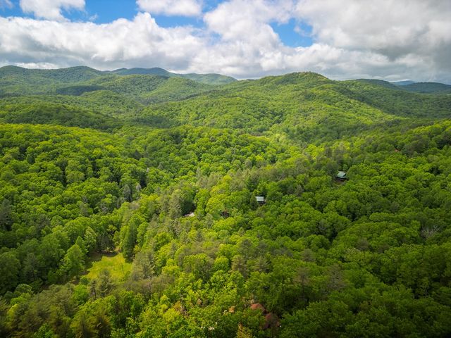 203 Mountain View Drive, Cherry Log, GA 30522