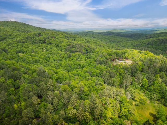 203 Mountain View Drive, Cherry Log, GA 30522