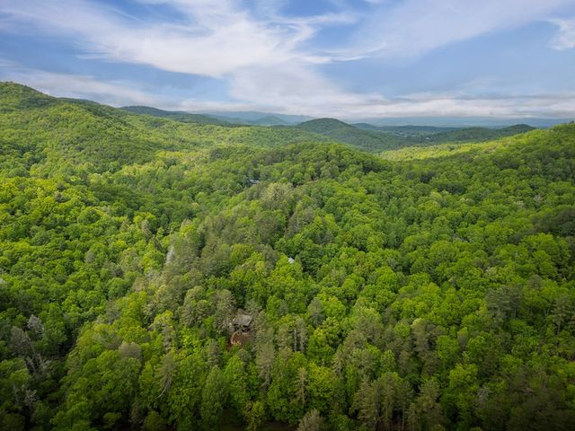 203 Mountain View Drive, Cherry Log, GA 30522