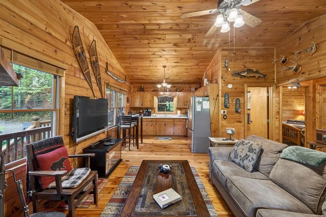 203 Mountain View Drive, Cherry Log, GA 30522