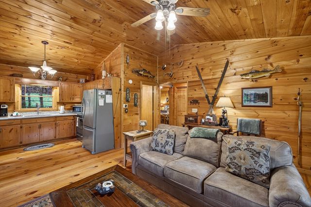203 Mountain View Drive, Cherry Log, GA 30522