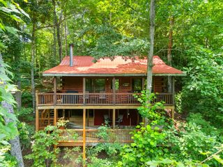 203 Mountain View Drive, Cherry Log, GA 30522