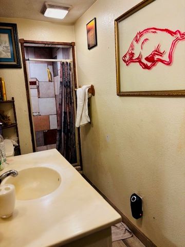 10740 Alpha Road, Dardanelle, AR 72834