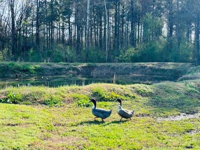 10740 Alpha Road, Dardanelle, AR 72834