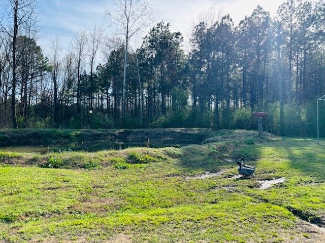 10740 Alpha Road, Dardanelle, AR 72834