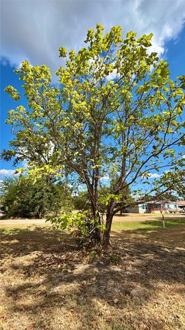 169 Navajo, Quitman, TX 75783