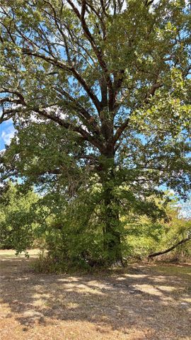 169 Navajo, Quitman, TX 75783