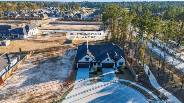 9115 Petroglyph Point Court, Porter, TX 77365