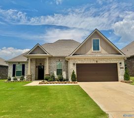 28365 Molly Bee Lane, Toney, AL 35773