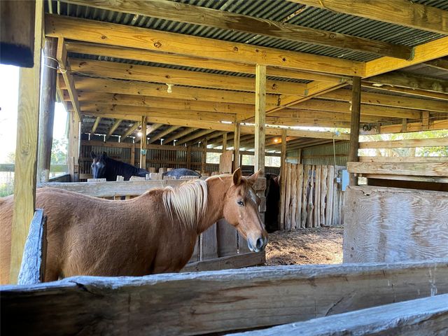 18133 Fm 1774, Plantersville, TX 77363