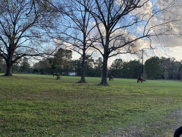 18133 Fm 1774, Plantersville, TX 77363