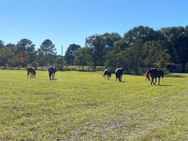 18133 Fm 1774, Plantersville, TX 77363