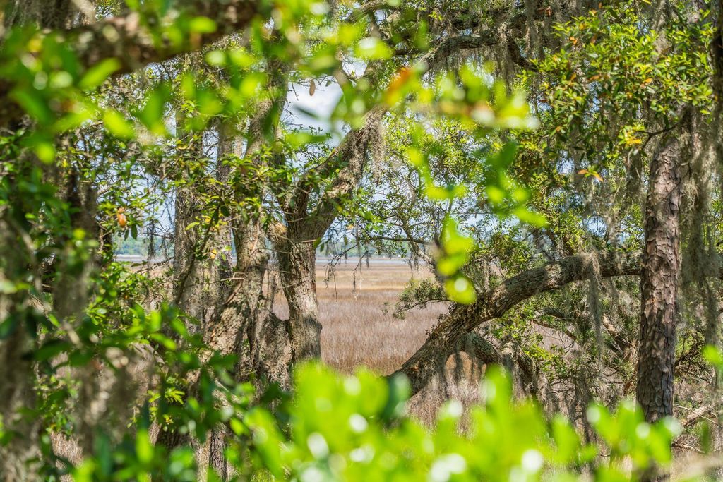 2690 Colonel Harrison Drive, Johns Island, SC 29455