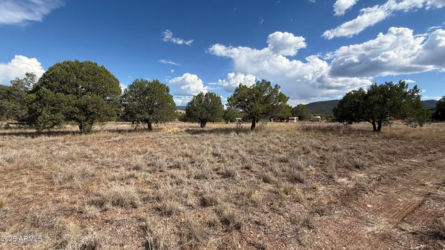 195 S Broken Trail, Young, AZ 85554