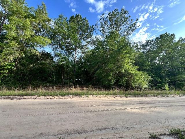 DECKER STREET LOT 12 13, Interlachen, FL 32148