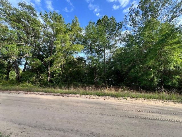 DECKER STREET LOT 12 13, Interlachen, FL 32148
