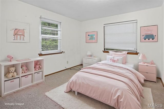 321 W Cleveland Avenue, Belleville, IL 62220
