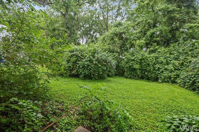 321 W Cleveland Avenue, Belleville, IL 62220