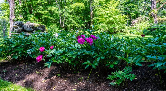 130 Sharon Mountain Road, Sharon, CT 06069